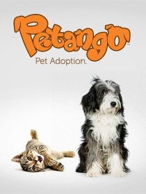 Petango allows users to send notifications of missing pets in their area, effectively creating a canine and feline "amber alert" system. 
