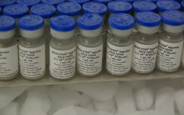 In combination with Gemzar, a nucleoside used in chemotherapy and marketed by Eli Lilly, eight of thirteen patients enrolled in a recent REOLYSIN study showed stability for twelve weeks or more.