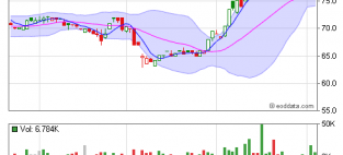 In April, Constellation Software hired BofA Merrill Lynch and BMO Capital Markets to 