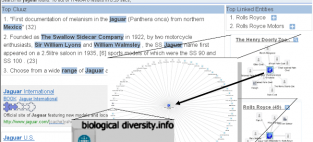 Sprylogics offerings include Cluuz, a search engine that management says 