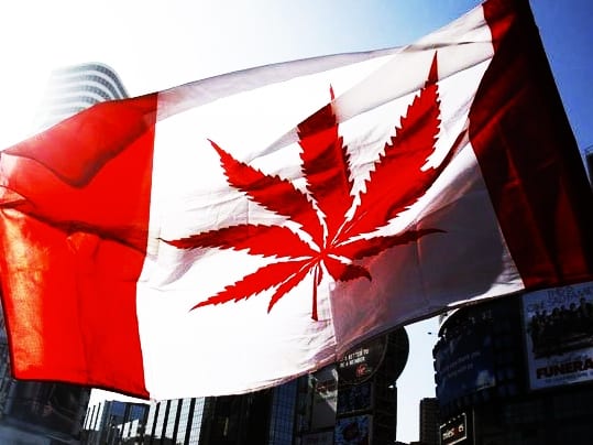 Medical Marijuana Canada