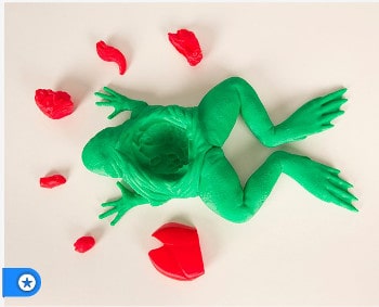 3D Printer Frog Dissection Kit. Source: MakerBot Thingiverse