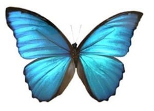www.nanosecurity.ca