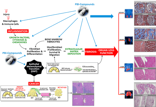 ProMetic Life Sciences