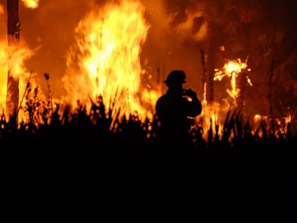 wildfires are more toxic