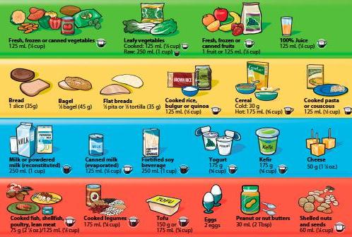 Canada Food Guide problems