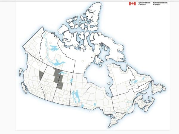 Fort McMurray fire