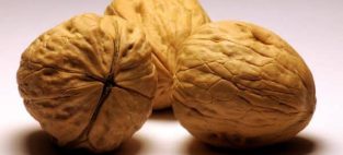 eating nuts lowers risk of dying