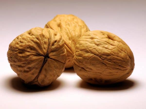 eating nuts lowers risk of dying