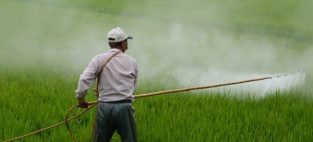 herbicides are being sprayed on federal lands
