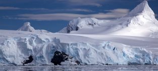 methylmercury found in Antarctic