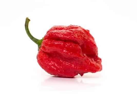 Ghost Pepper