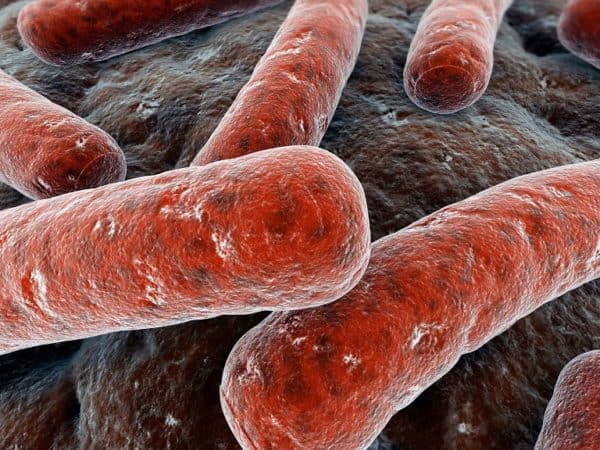 Tuberculosis scare in Calgary