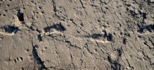 footprints tanzania