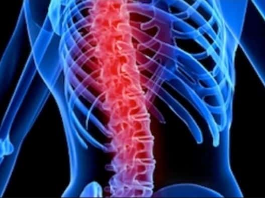 stem cell therapy spinal cord