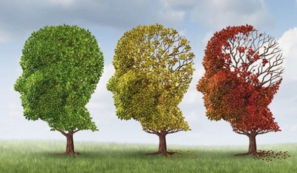 preventing strokes reduces dementia