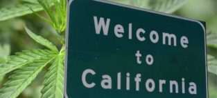 California Growers’ Association