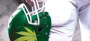 athletes using marijuana