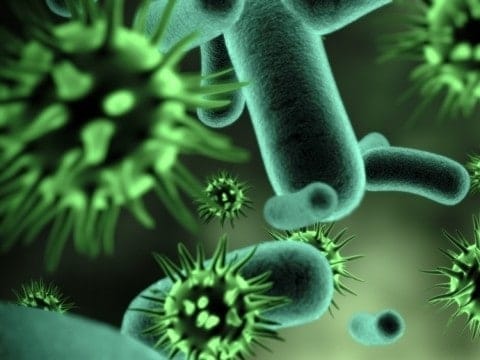 microbes and climate change