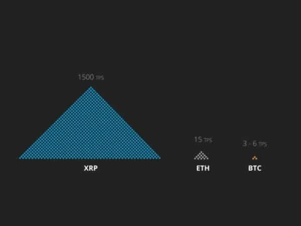 Swell by Ripple