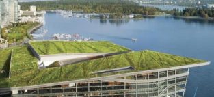 green roofing