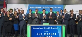 International Cannabis Corp
