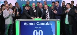 Aurora Cannabis