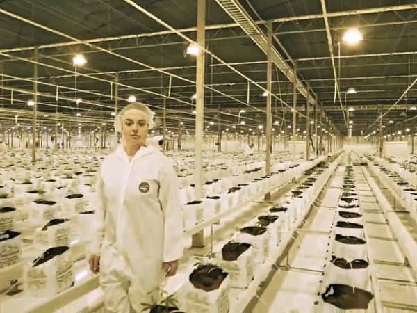 A woman at an indoor grow operation owned by Canopy Growth