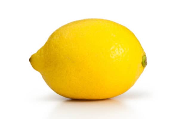 citron research shopify