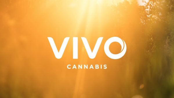 Vivo Cannabis