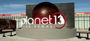 planet 13 holdings