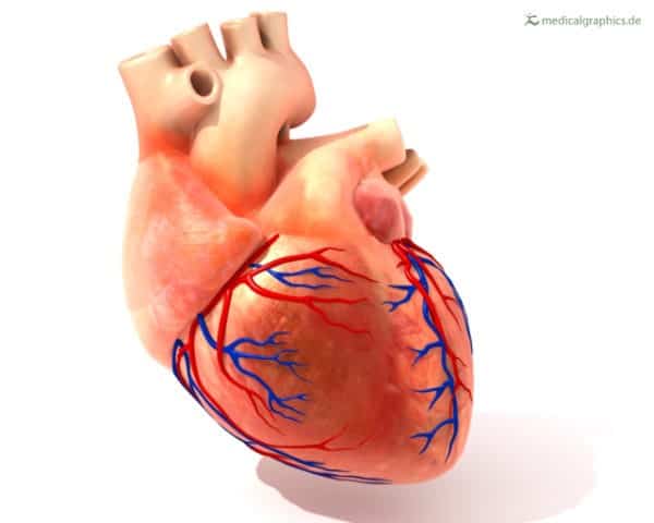 Cardiol Therapeutics