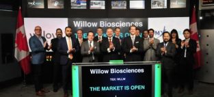 Willow Biosciences