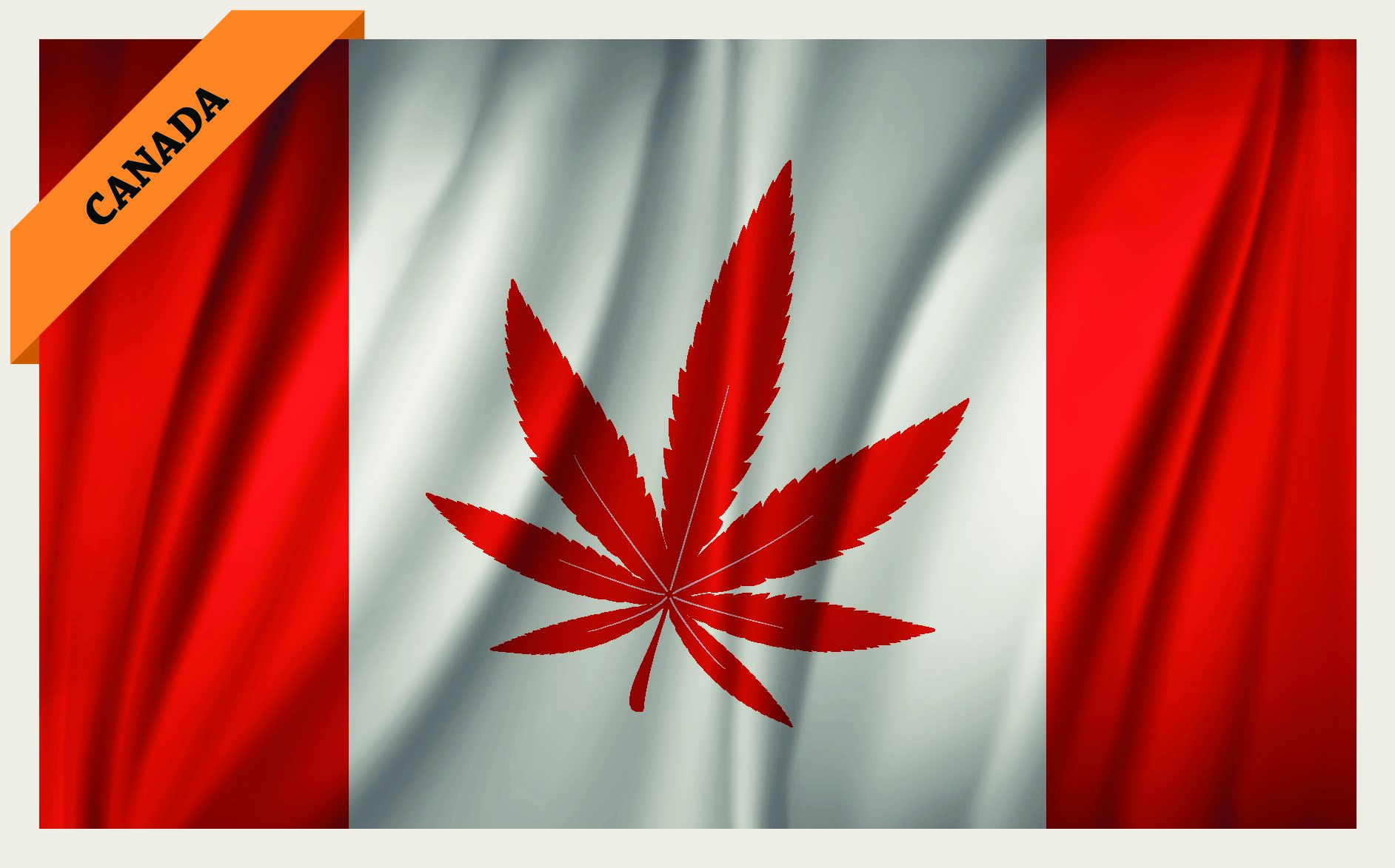 8 Best Canadian Marijuana Stocks for 2021 - Stock Market News - US News