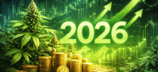 Pot stocks 2026