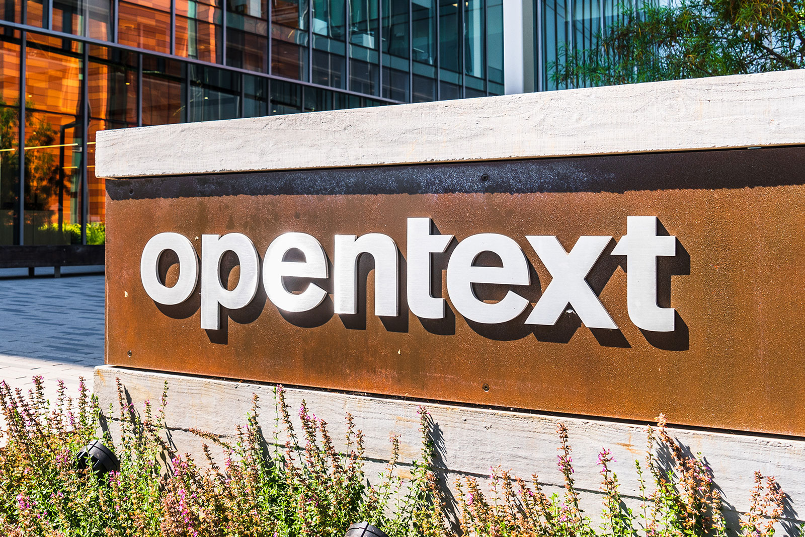 We’re waiting for OpenText’s next big splurge, this portfolio manager said