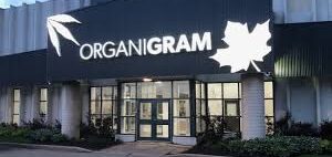 OGI stock