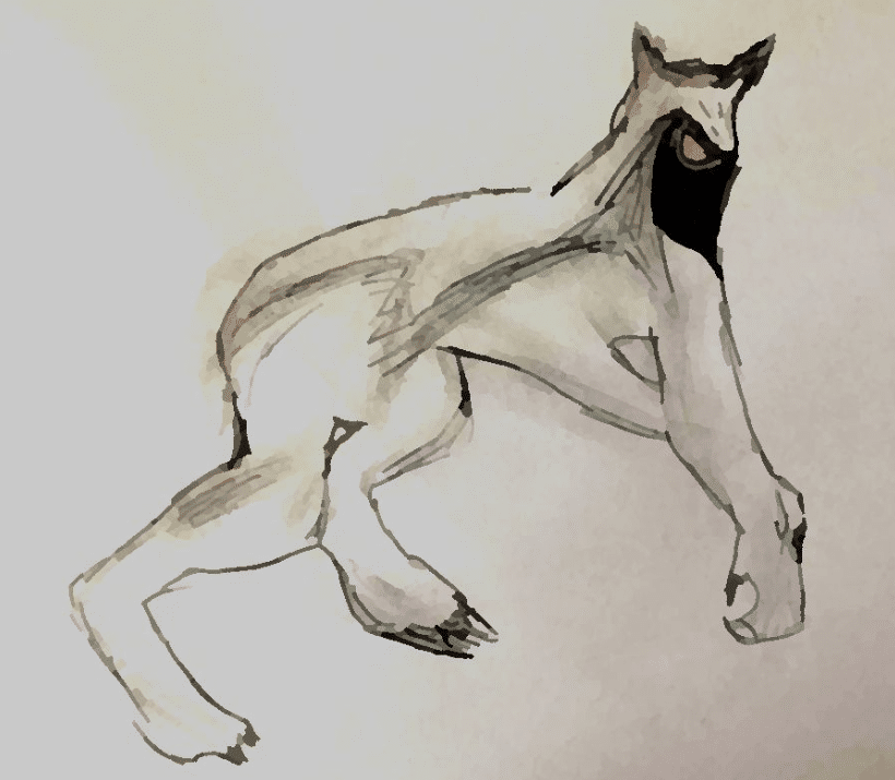 Skinwalker