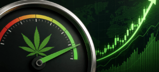 cannabis reclassification